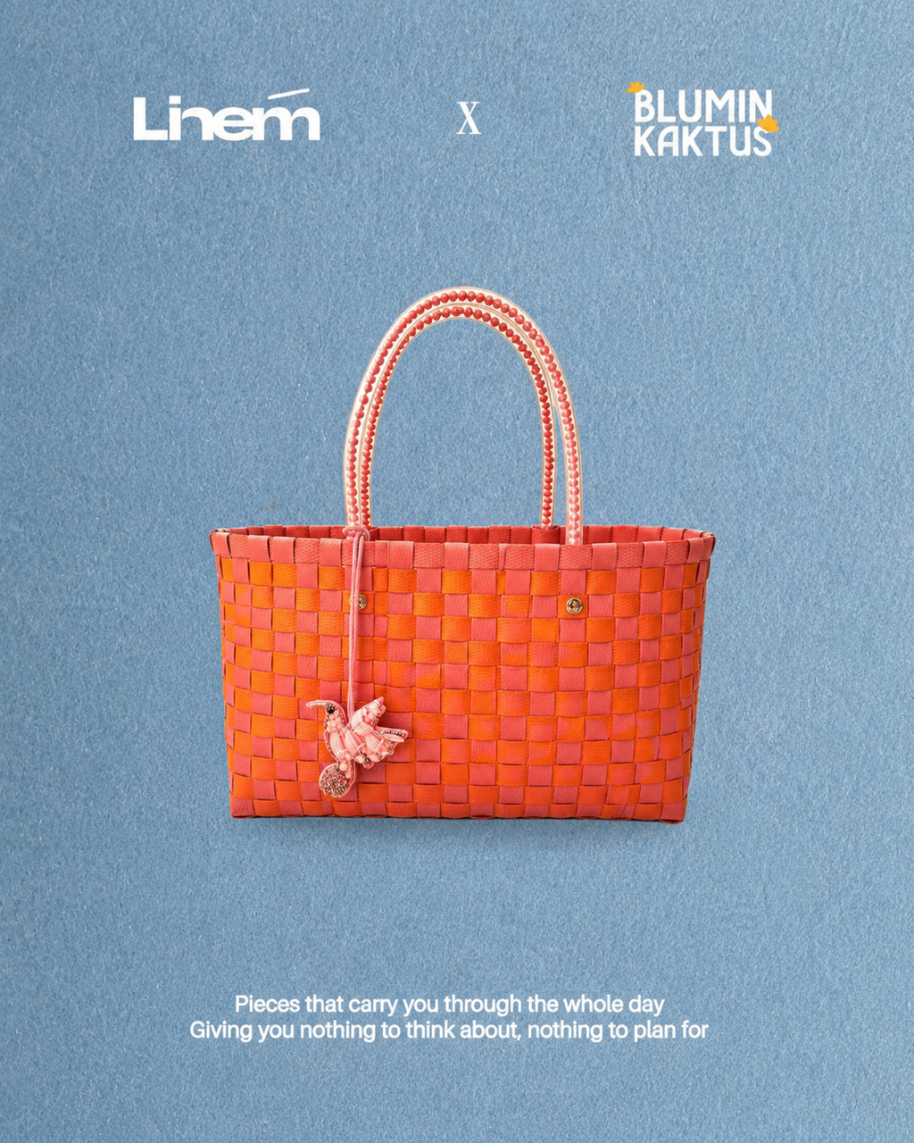 Linem X Blumin'Kaktus Bundle