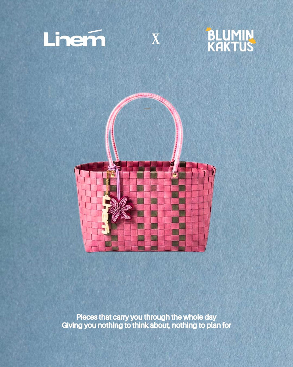 Linem X Blumin'Kaktus Bundle